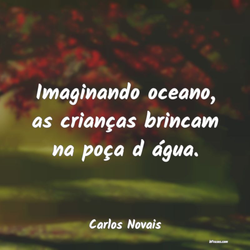 Frases de Carlos Novais