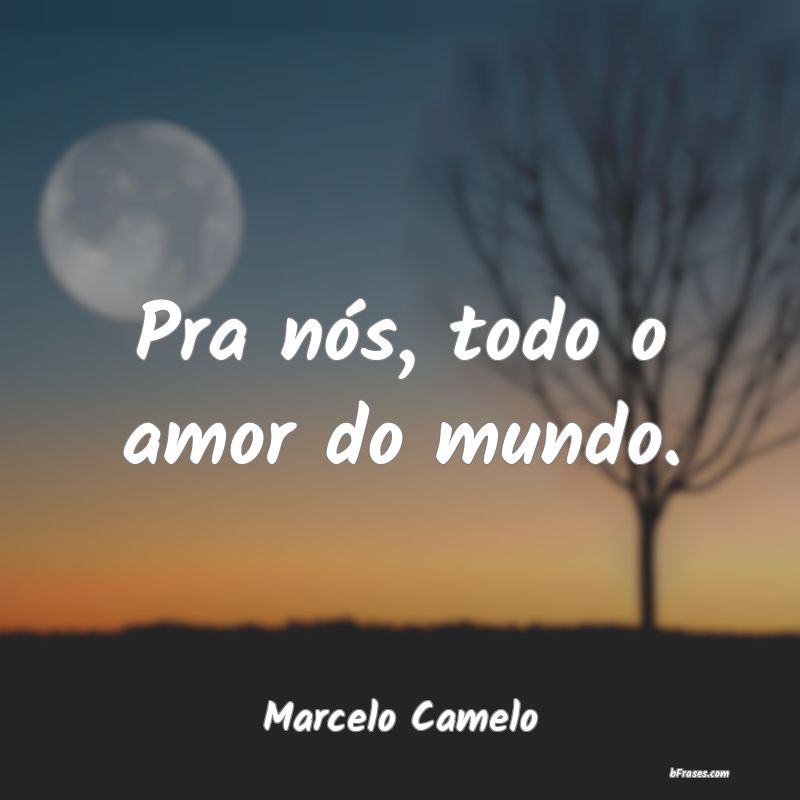 Frases de Marcelo Camelo