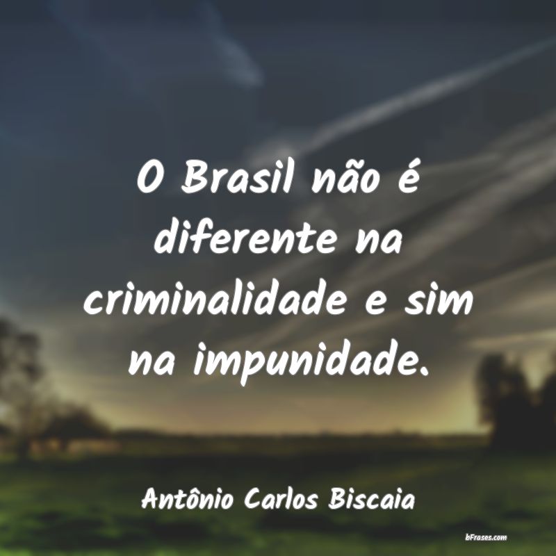 Frases de Antônio Carlos Biscaia