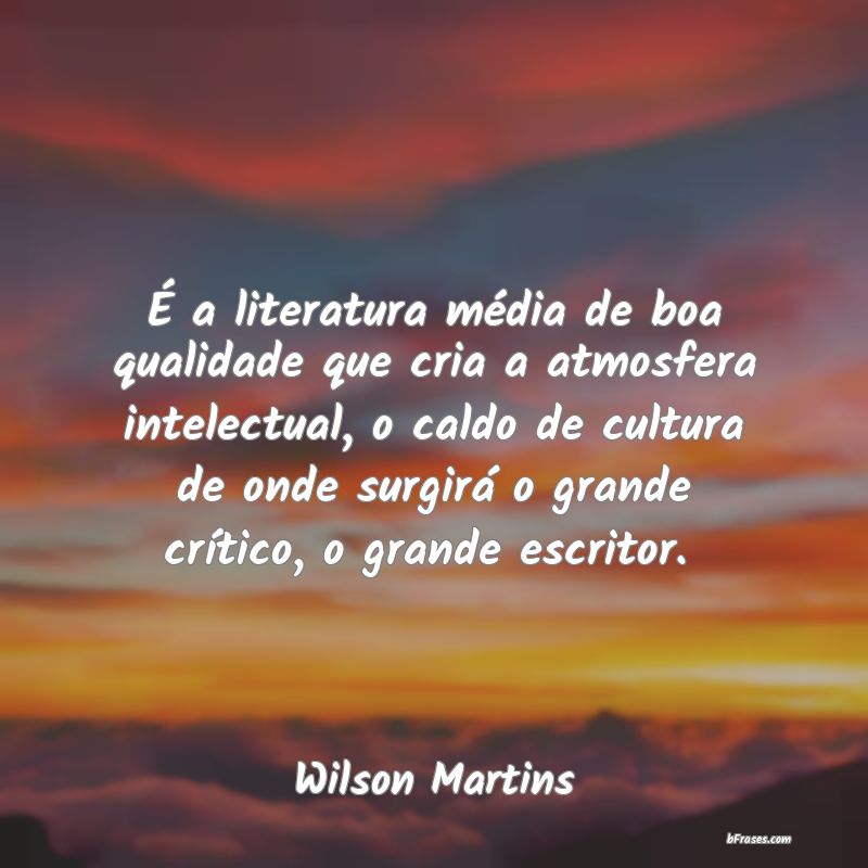 Frases de Wilson Martins