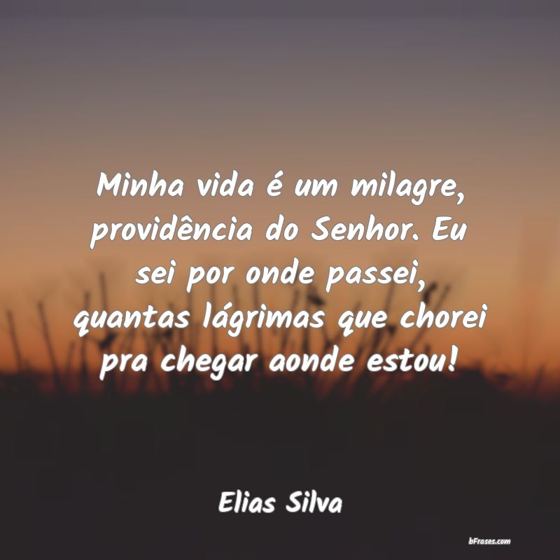 Frases de Elias Silva