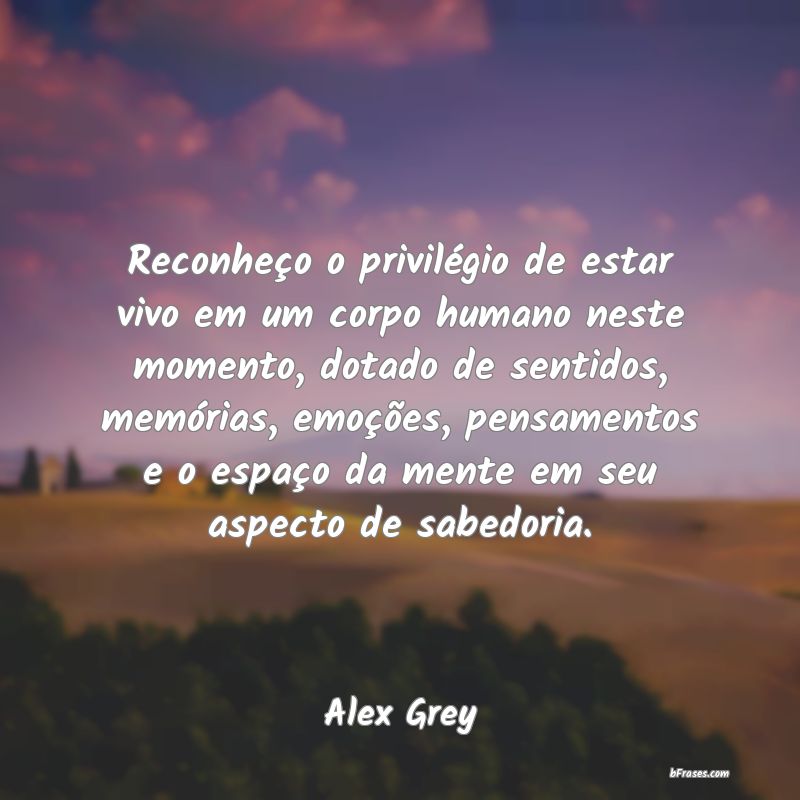 Frases de Alex Grey