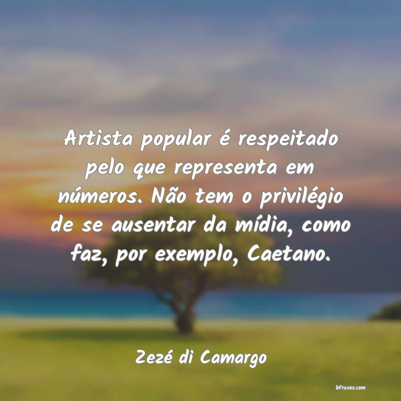 Frases de Zezé di Camargo