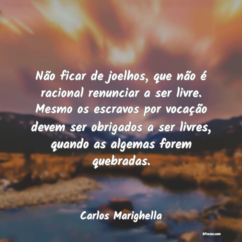 Frases de Carlos Marighella