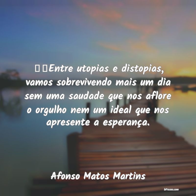 Frases de Afonso Matos Martins