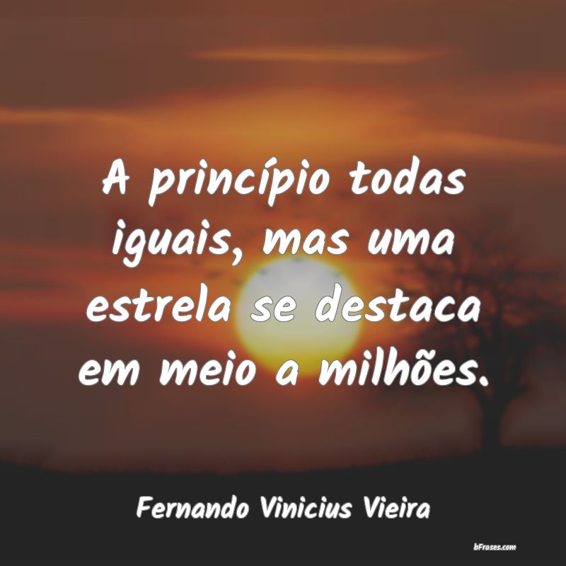 Frases de Fernando Vinicius Vieira