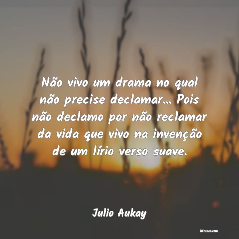 Frases de Julio Aukay
