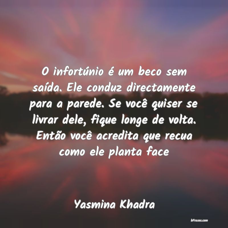 Frases de Yasmina Khadra
