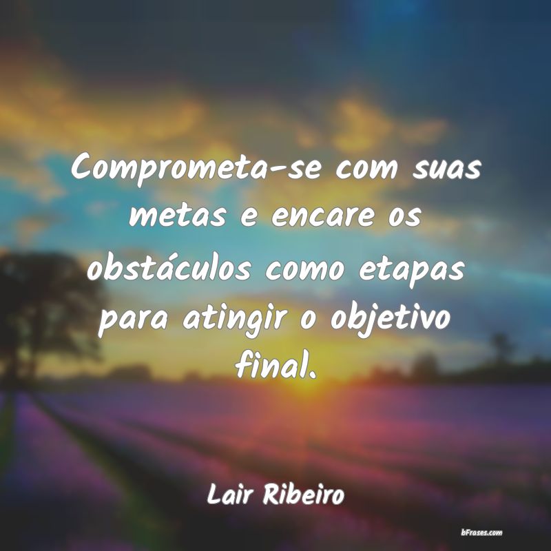 Frases de Lair Ribeiro