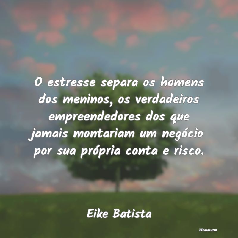 Frases de Eike Batista