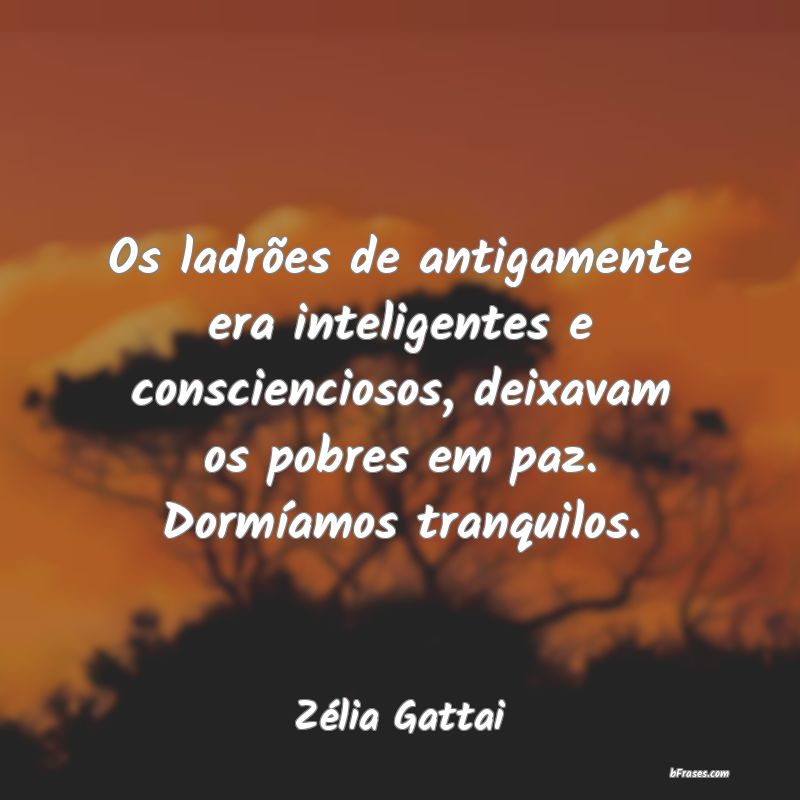 Frases de Zélia Gattai
