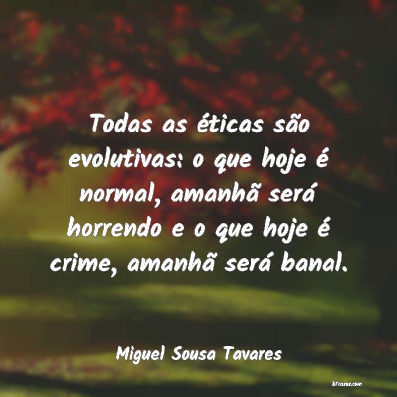 Frases de Miguel Sousa Tavares