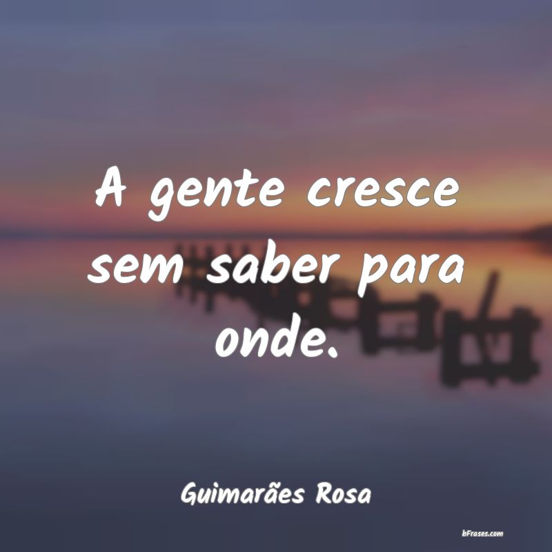 Frases de Guimarães Rosa