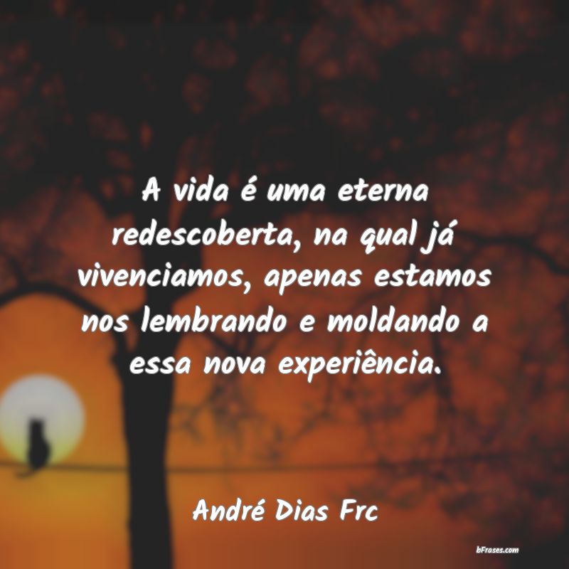 Frases de André Dias Frc