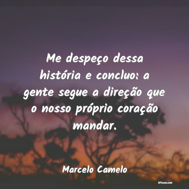 Frases de Marcelo Camelo