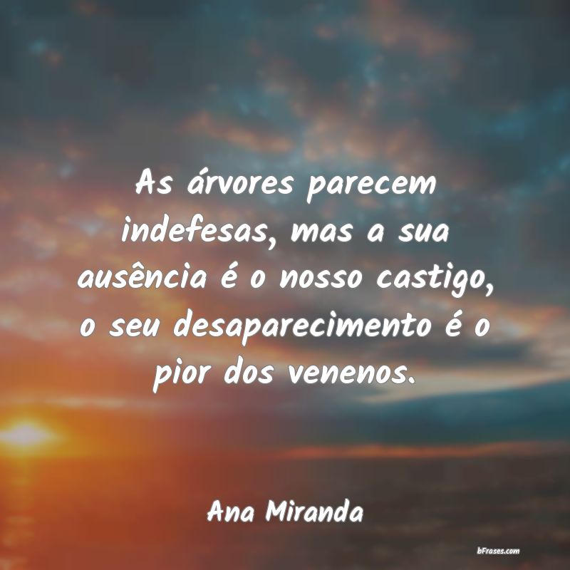 Frases de Ana Miranda