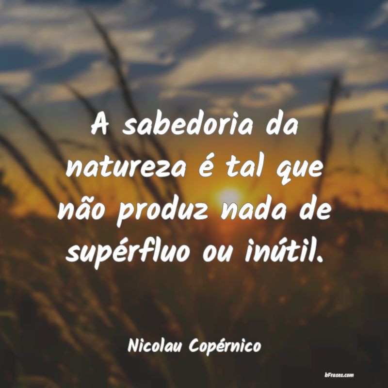 Frases de Nicolau Copérnico