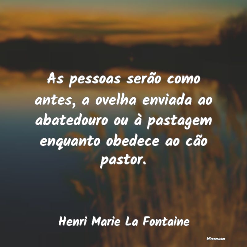 Frases de Henri Marie La Fontaine