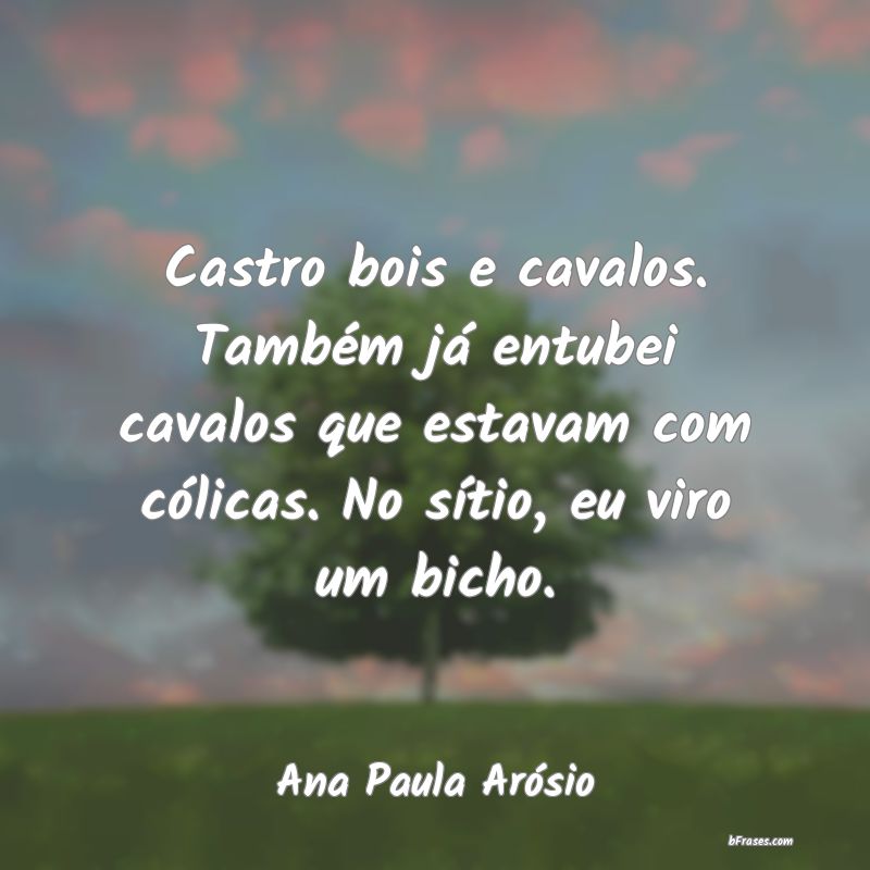 Frases de Ana Paula Arósio
