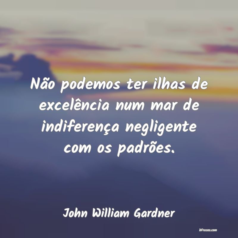 Frases de John William Gardner