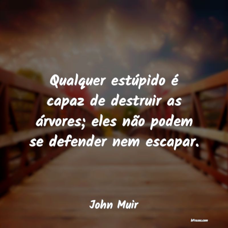 Frases de John Muir