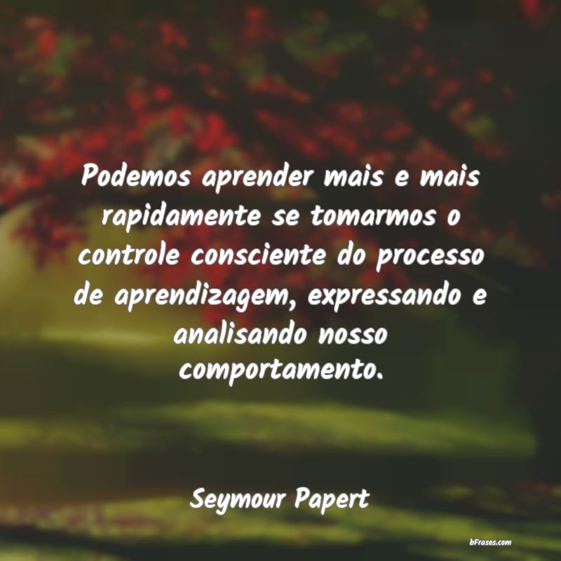Frases de Seymour Papert