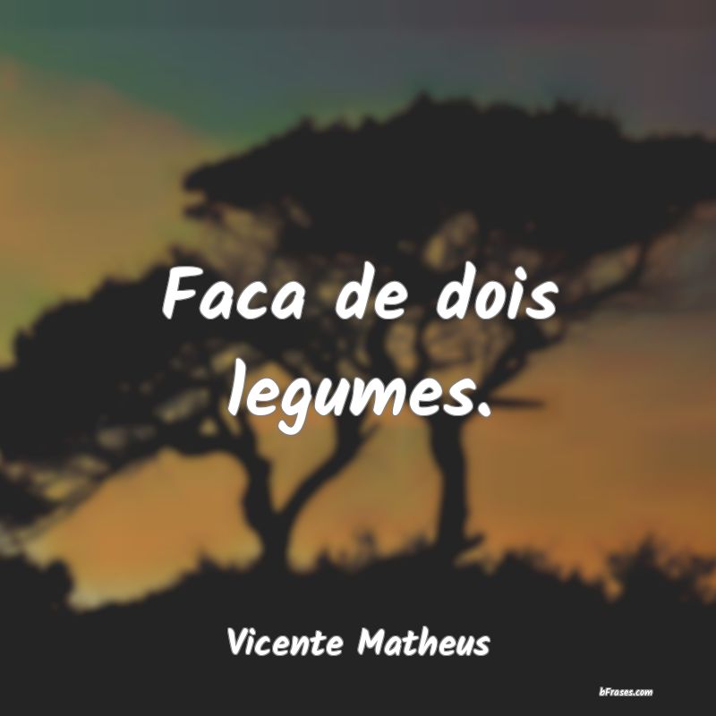 Frases de Vicente Matheus