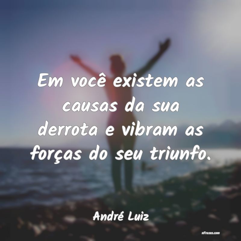 Frases de André Luiz