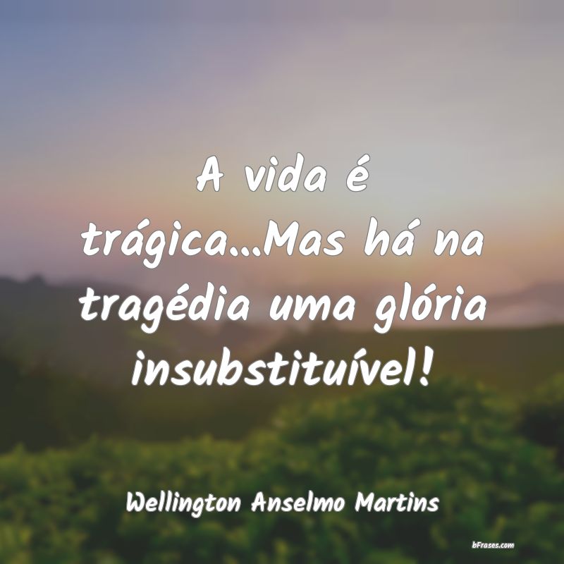 Frases de Wellington Anselmo Martins