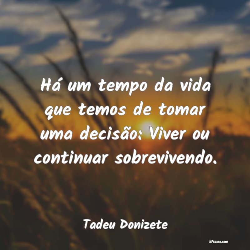 Frases de Tadeu Donizete
