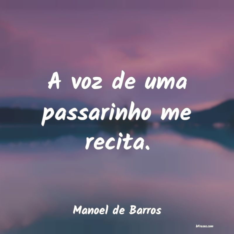 Frases de Manoel de Barros