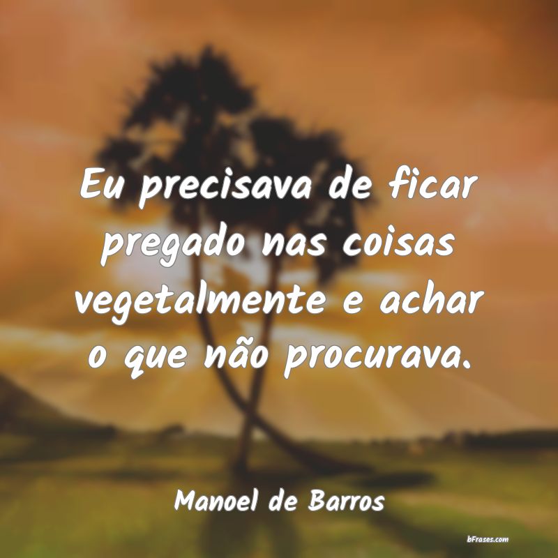 Frases de Manoel de Barros