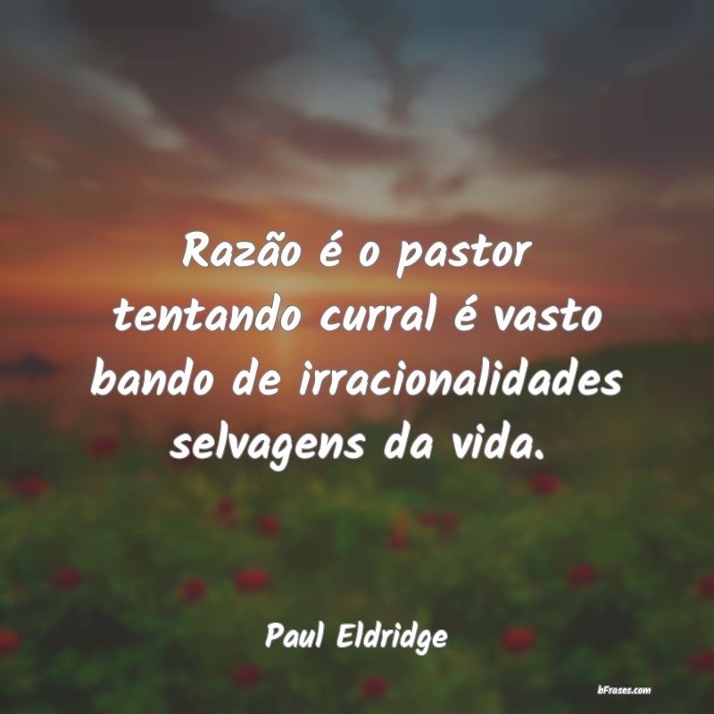 Frases de Paul Eldridge