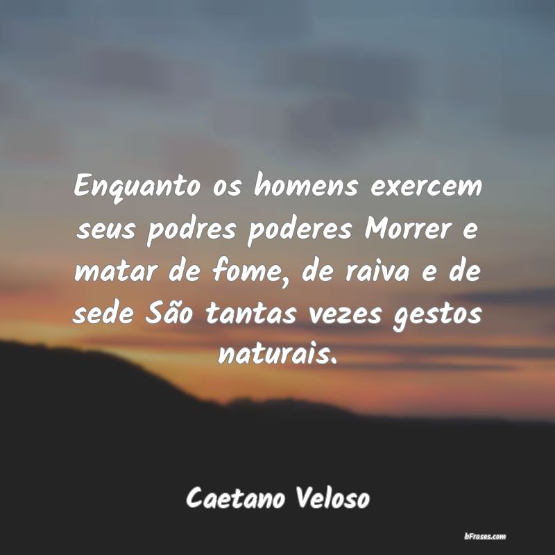 Frases de Caetano Veloso