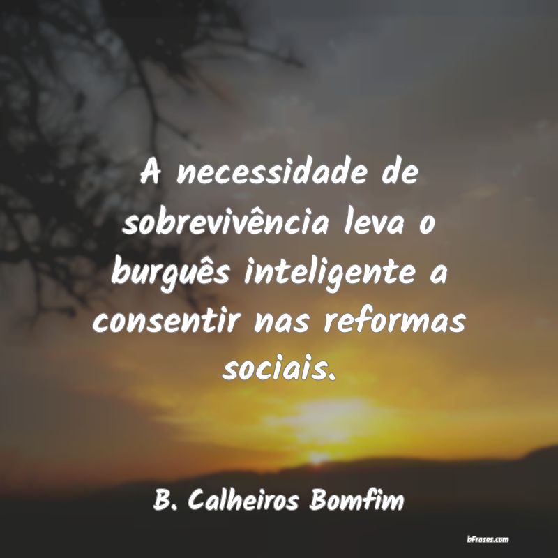 Frases de B. Calheiros Bomfim