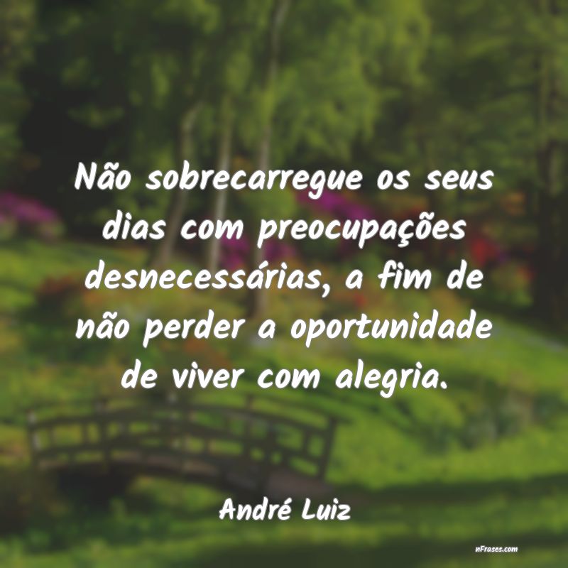 Frases de André Luiz