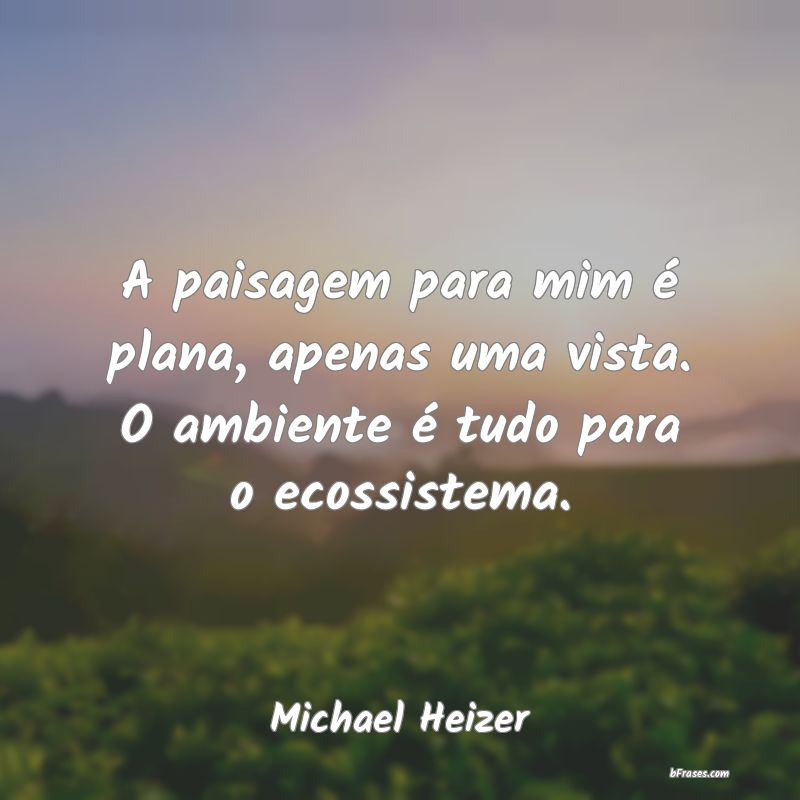 Frases de Michael Heizer
