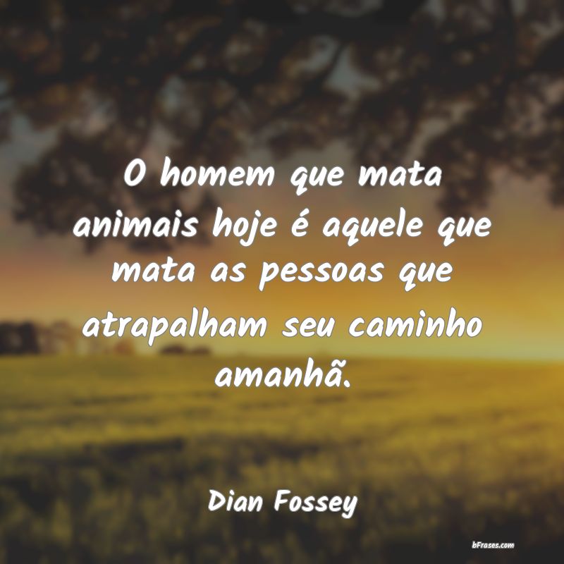 Frases de Dian Fossey