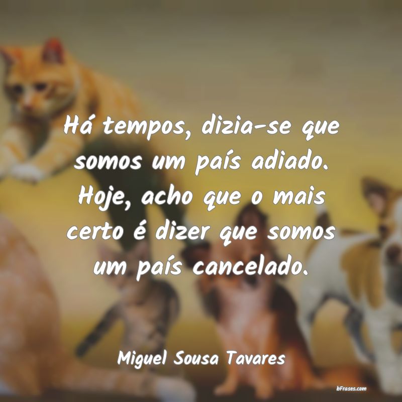 Frases de Miguel Sousa Tavares