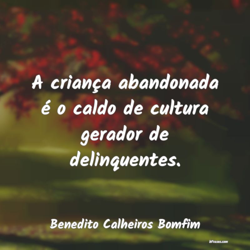 Frases de Benedito Calheiros Bomfim