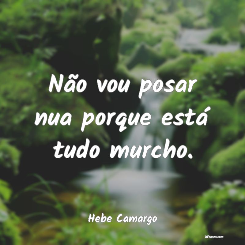 Frases de Hebe Camargo