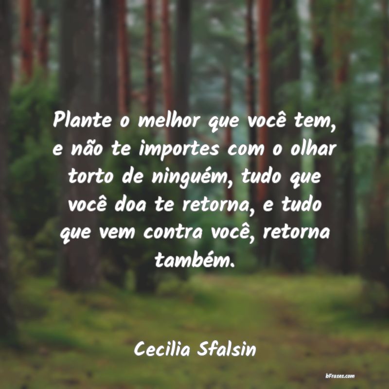 Frases de Cecilia Sfalsin
