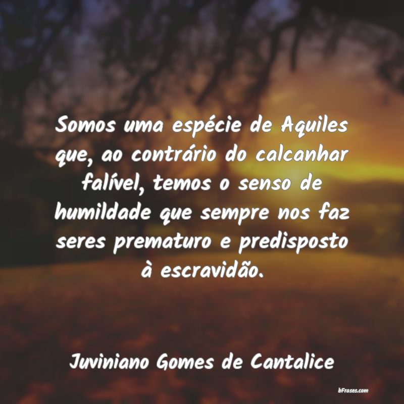 Frases de Juviniano Gomes de Cantalice