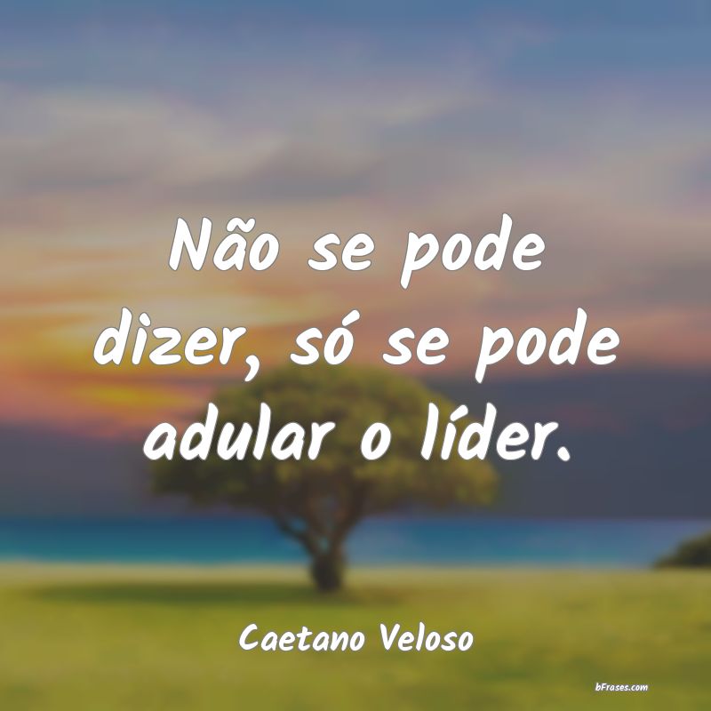 Frases de Caetano Veloso