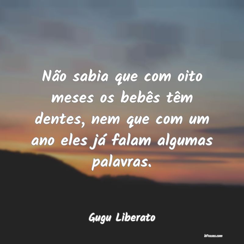 Frases de Gugu Liberato