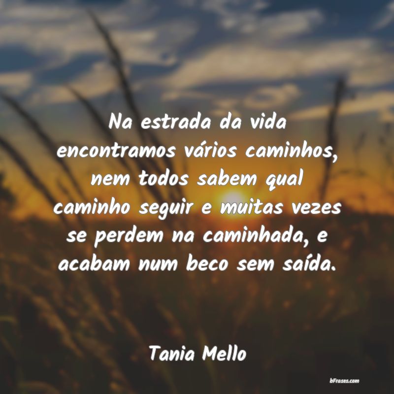 Frases de Tania Mello