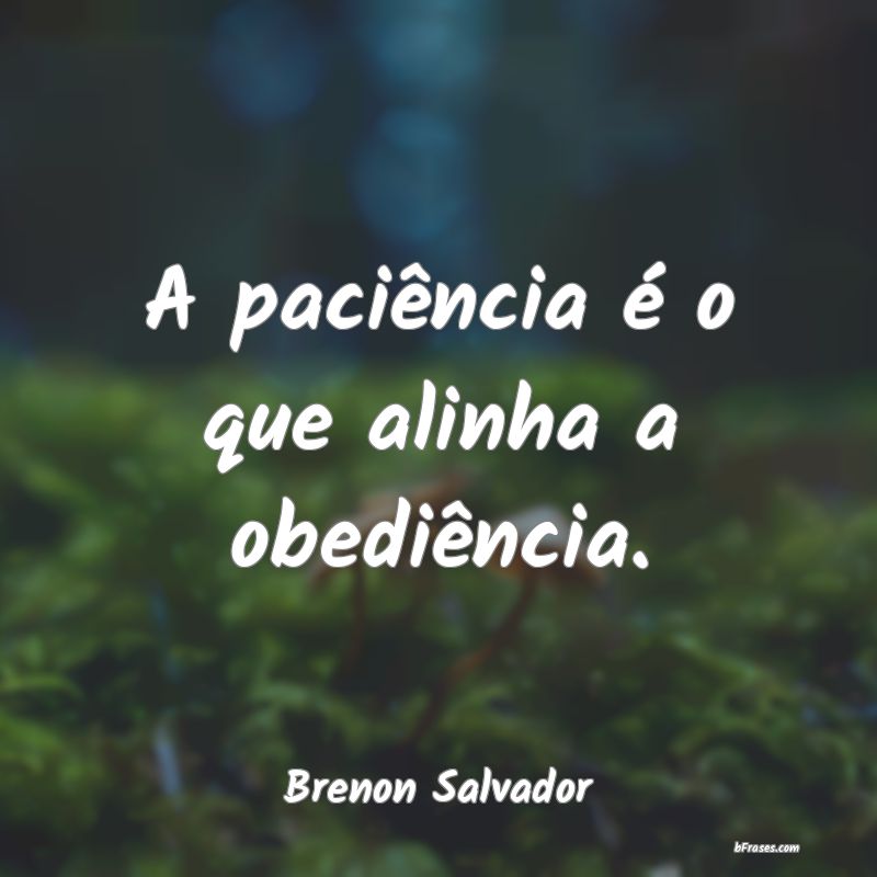 Frases de Brenon Salvador