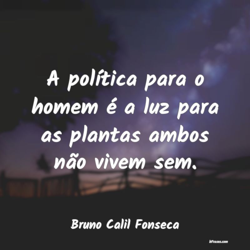 Frases de Bruno Calil Fonseca