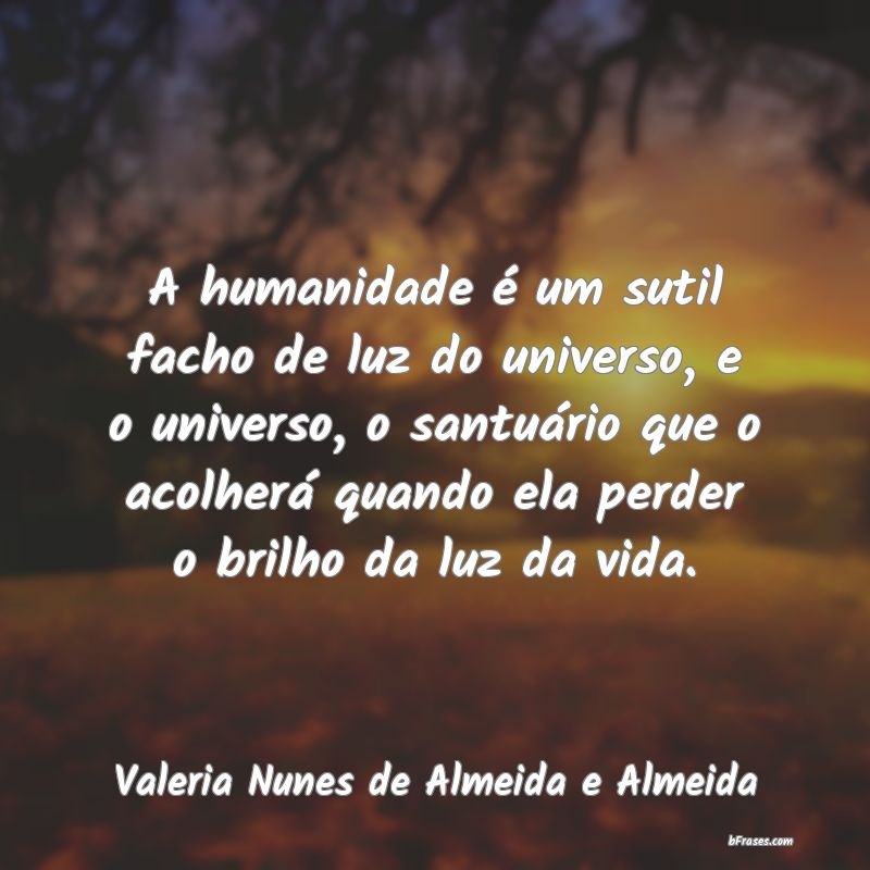 Frases de Valeria Nunes de Almeida e Almeida