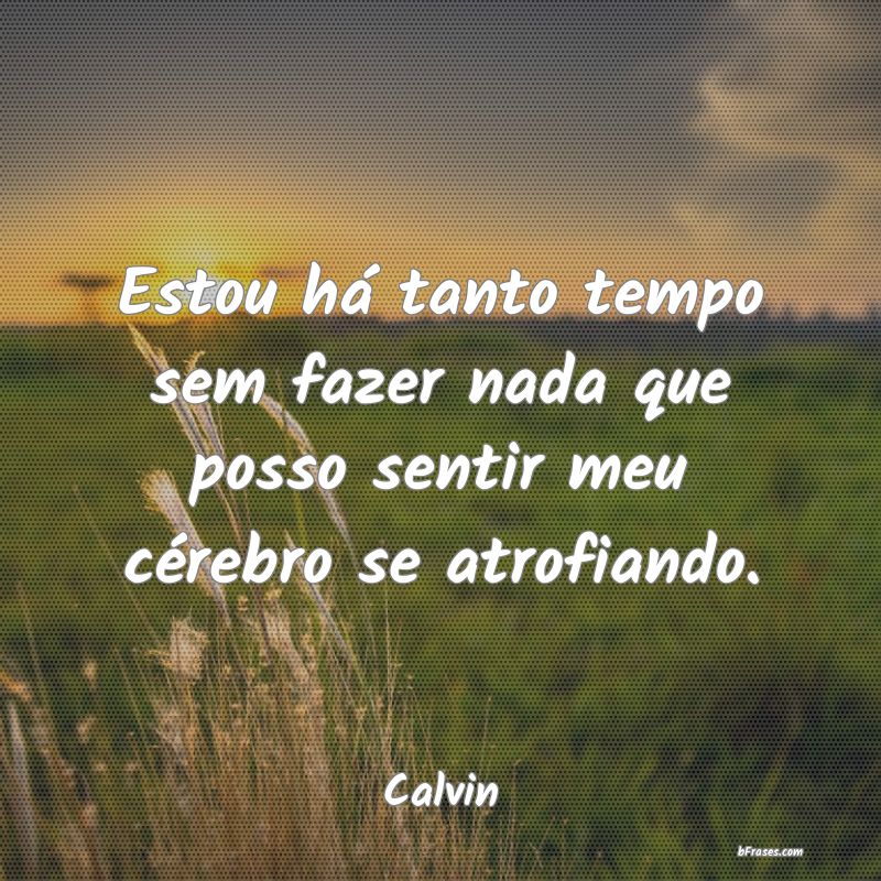 Frases de Calvin